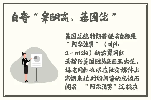 公交车最后一排被C细节描写